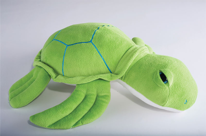 Drool Turtle
