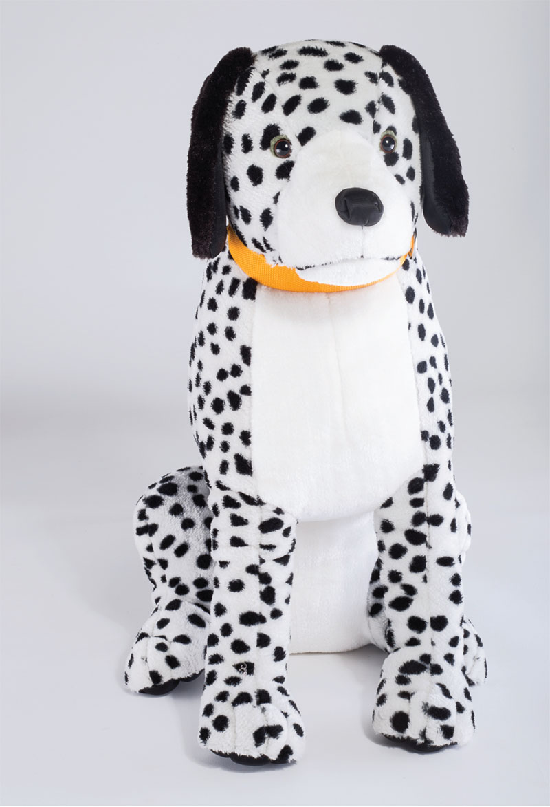 Oreo Dalmatian