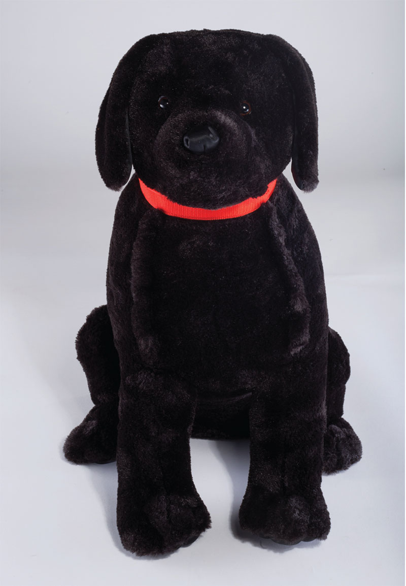 Raksha Dog